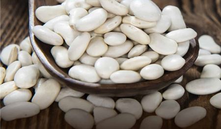 White Kidney Bean Extract Powder material