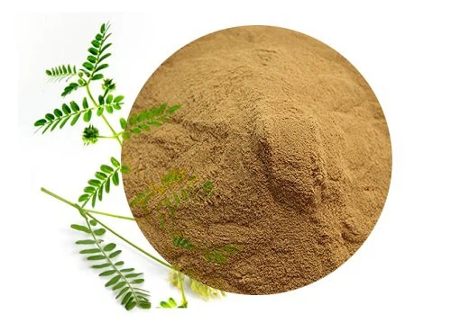 Fermented Astragalus Extract Powder