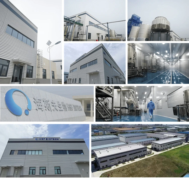 factory