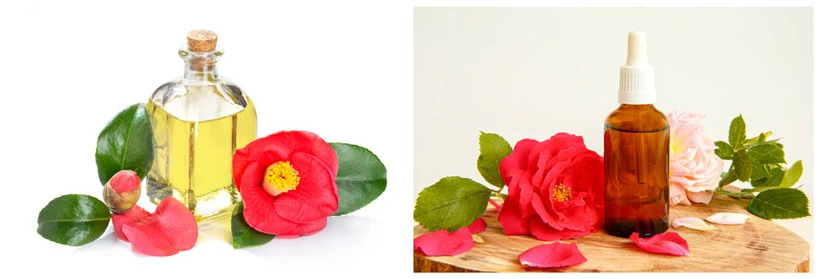 product-820-279 Camellia oil