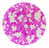 info-362-354 info-362-354