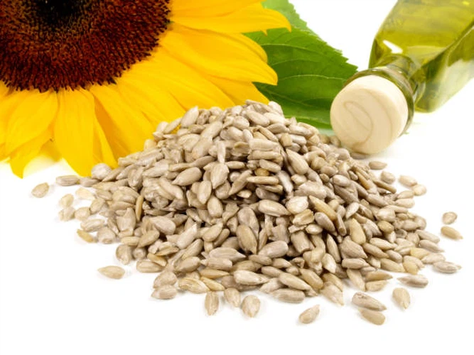 info-612-459 info-612-459