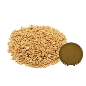 אבקת תמצית חילבה