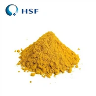 אבקת תמצית ג'ינג'ר מותסס